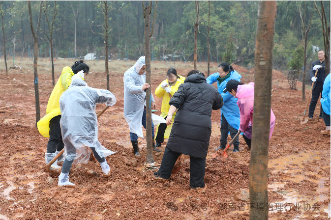 1750643007153147.png 1-2.png