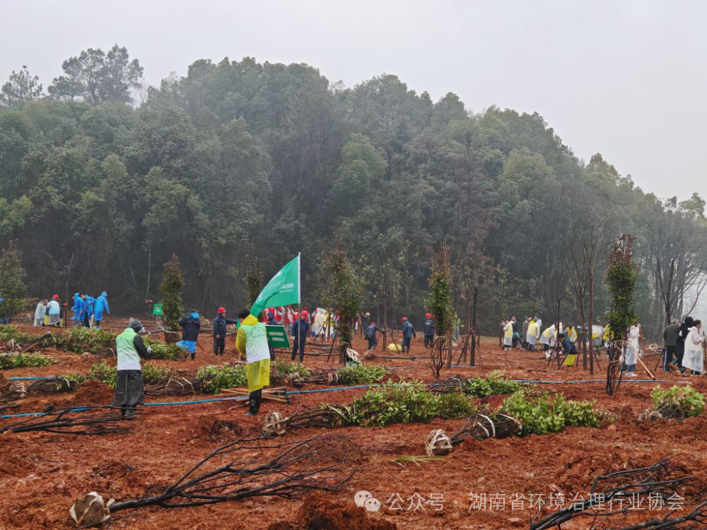 1750643043294695.png 1-5.png