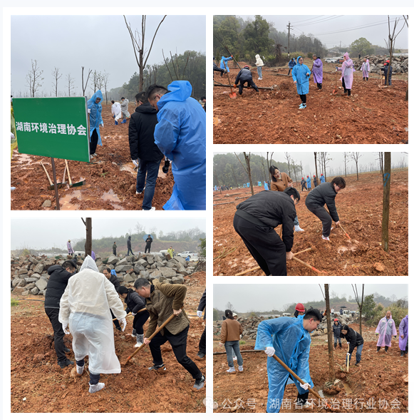 1750643057358423.png 1-6.png