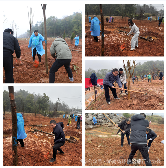 1750643068115631.png 1-7.png